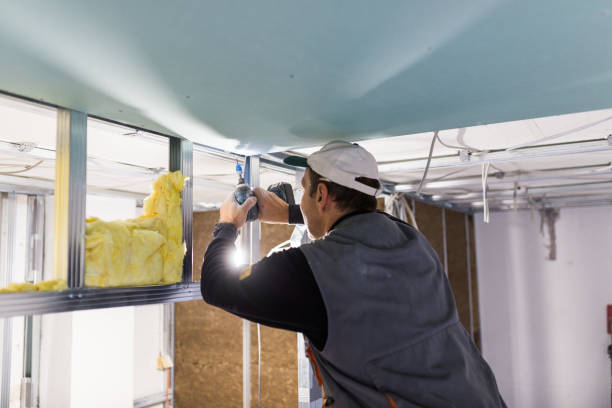 Best Geographic-Specific Insulation Services in New Milford, NJ